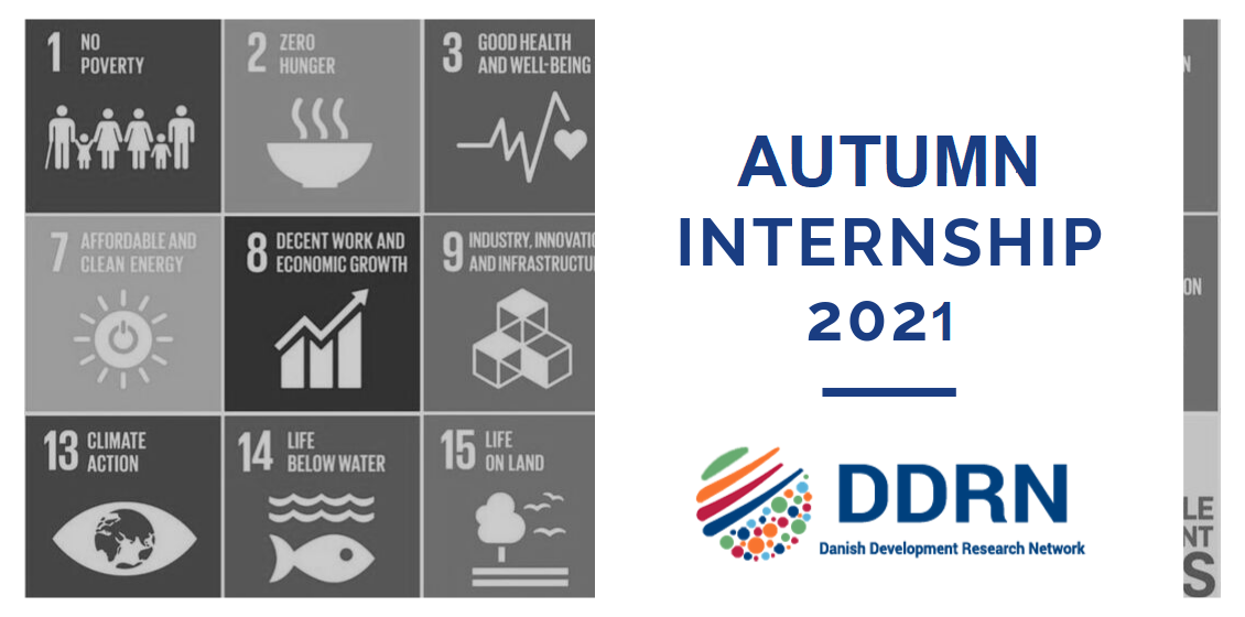 Apply now: University Student Internship with DDRN.dk – Autumn 2021