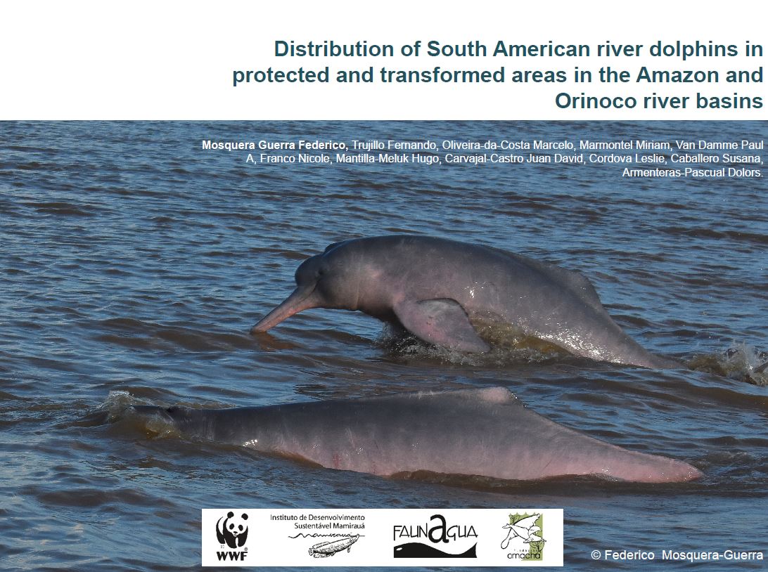 When The Amazon Is On Fire One Of The Many Species Affected Is The Pink River Dolphin Ddrn