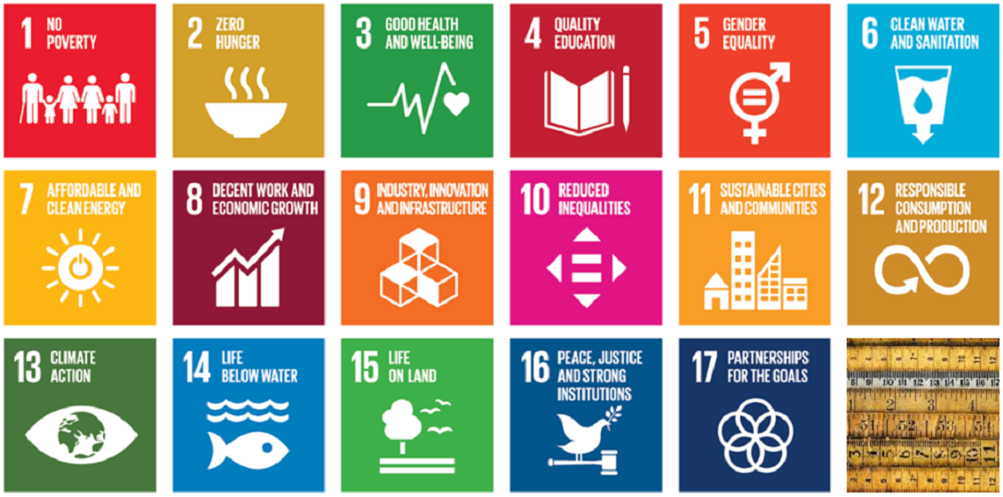 What does success look like for the SDGs?