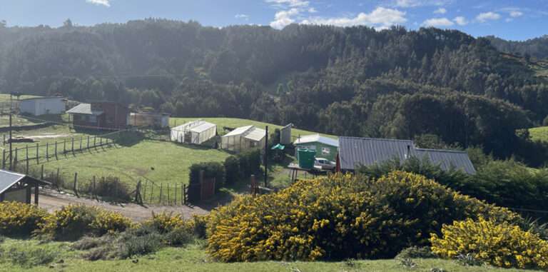 Smart Greenhouse: Efficiency and Ancestral Knowledge to Combat Climate Change