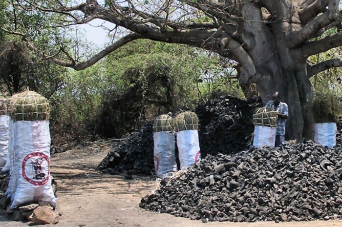Charcoal Consumption in East Africa: A Climate Change Dilemma