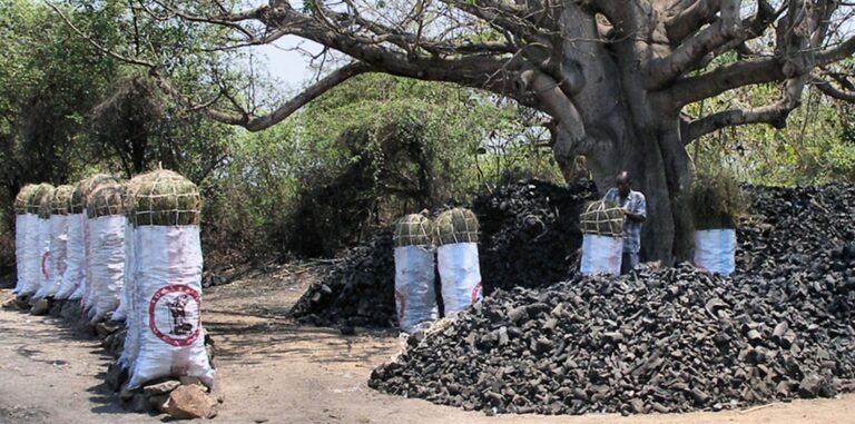 Charcoal Consumption in East Africa: A Climate Change Dilemma