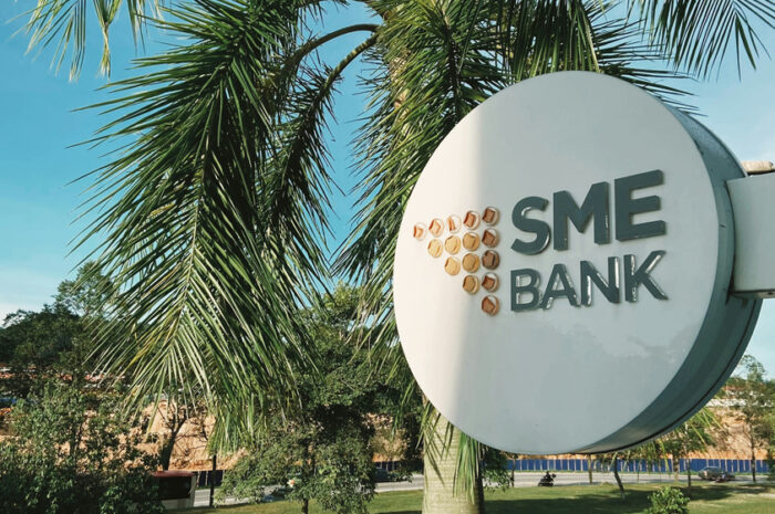 Financing Local Actors to Drive Africa’s Sustainable Future