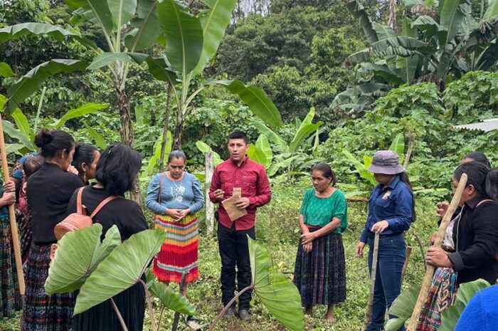 What does Maize have to do with Politics? Agroecology as a Tool for Political Participation