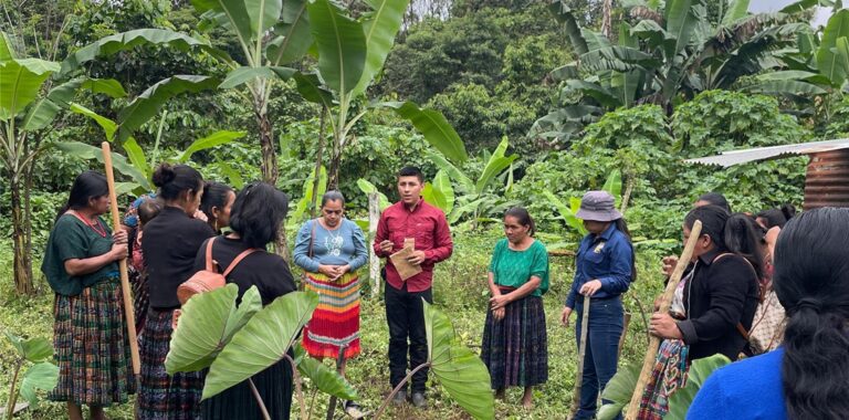 What does Maize have to do with Politics? Agroecology as a Tool for Political Participation